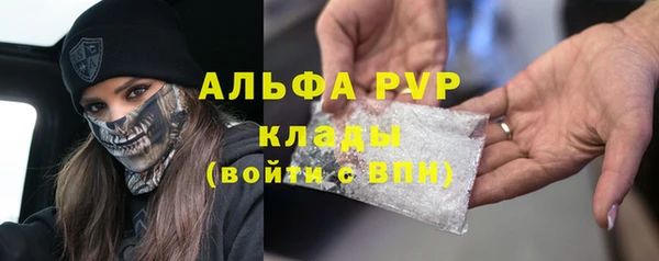 прущие грибы Волоколамск