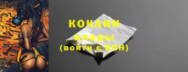 прущие грибы Волоколамск