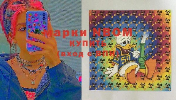 прущие грибы Волоколамск