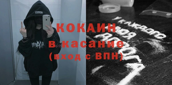 прущие грибы Волоколамск